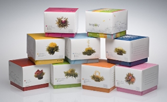 new21_Teaposy Boxes.jpg