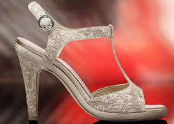 summershoes2011_shoehome1.jpg