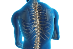 new34_spondylikistili.jpg