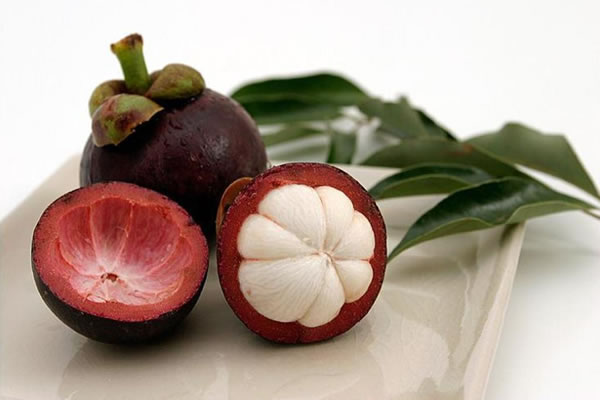 mangosteen