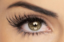 new38_eyelashes1.jpg