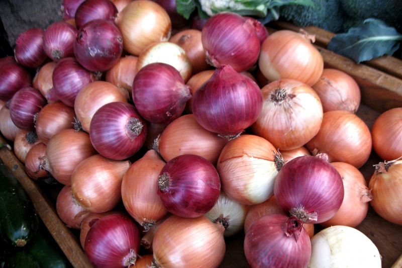 images_4_onionskremidia.jpg