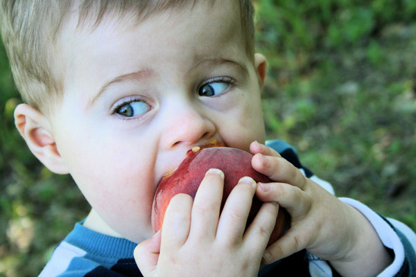 images_alittle-boy-eating.jpg