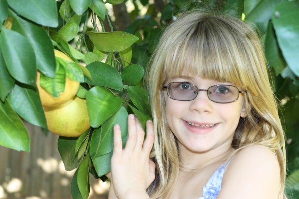 images_1citrus-picking.jpg