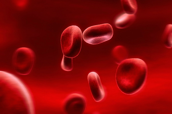 images_29122016_red-blood-cells.jpg