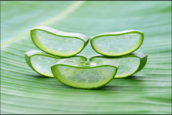 images_2212017_Cut-aloe-vera-on-banana-leaf.jpg