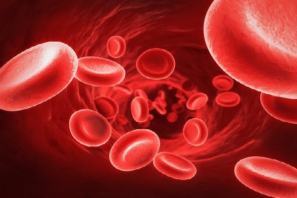 images_512017_2_Formation-of-Red-Blood-Cells.jpg