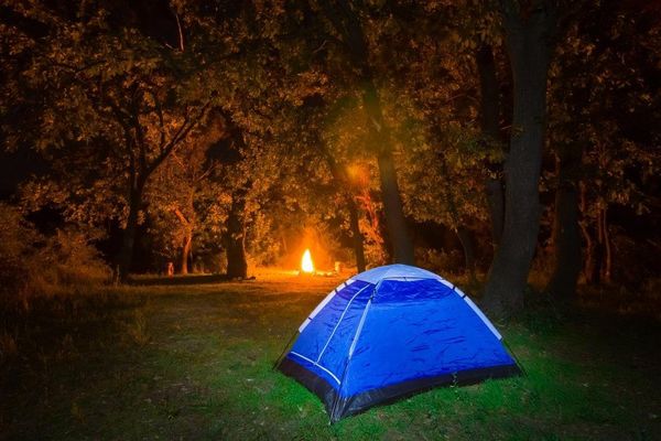 images_622017_fox-wood-camping-south-east-england-west-sussex-medium.jpg